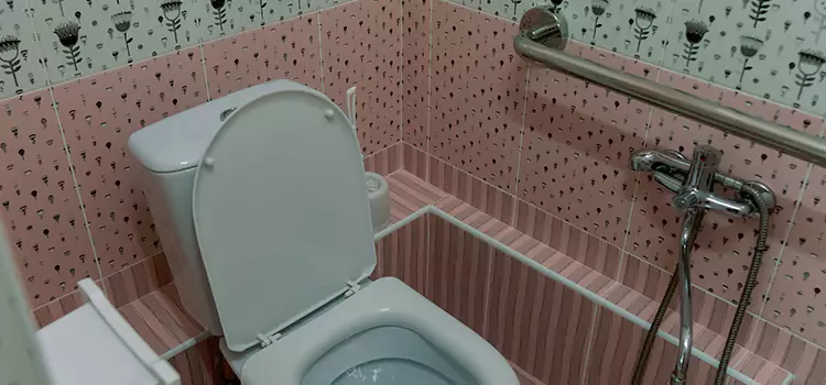Meeting Diverse Needs With Accessible Restroom Solutions in Maple Valley, WA